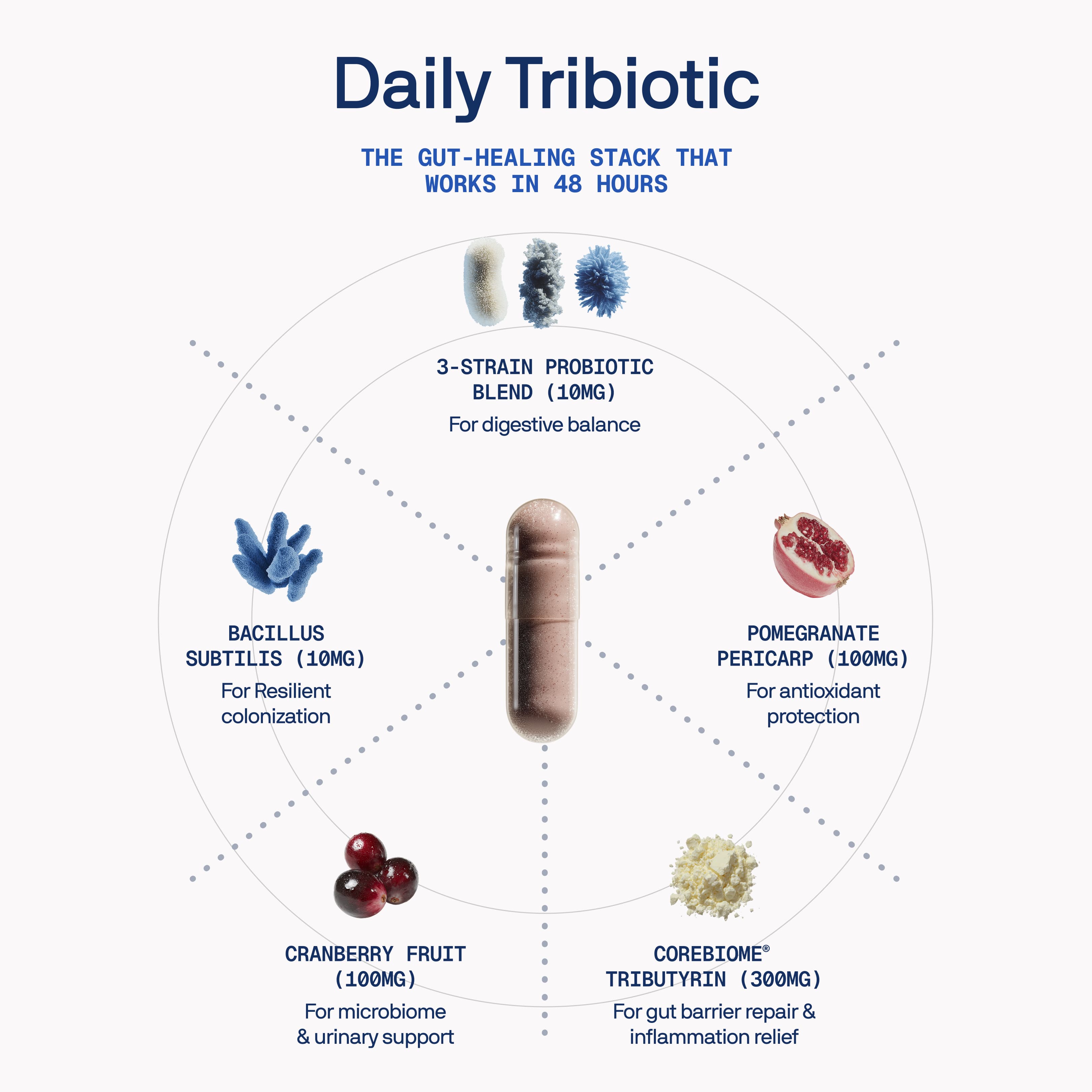 Complete Gut Repair System