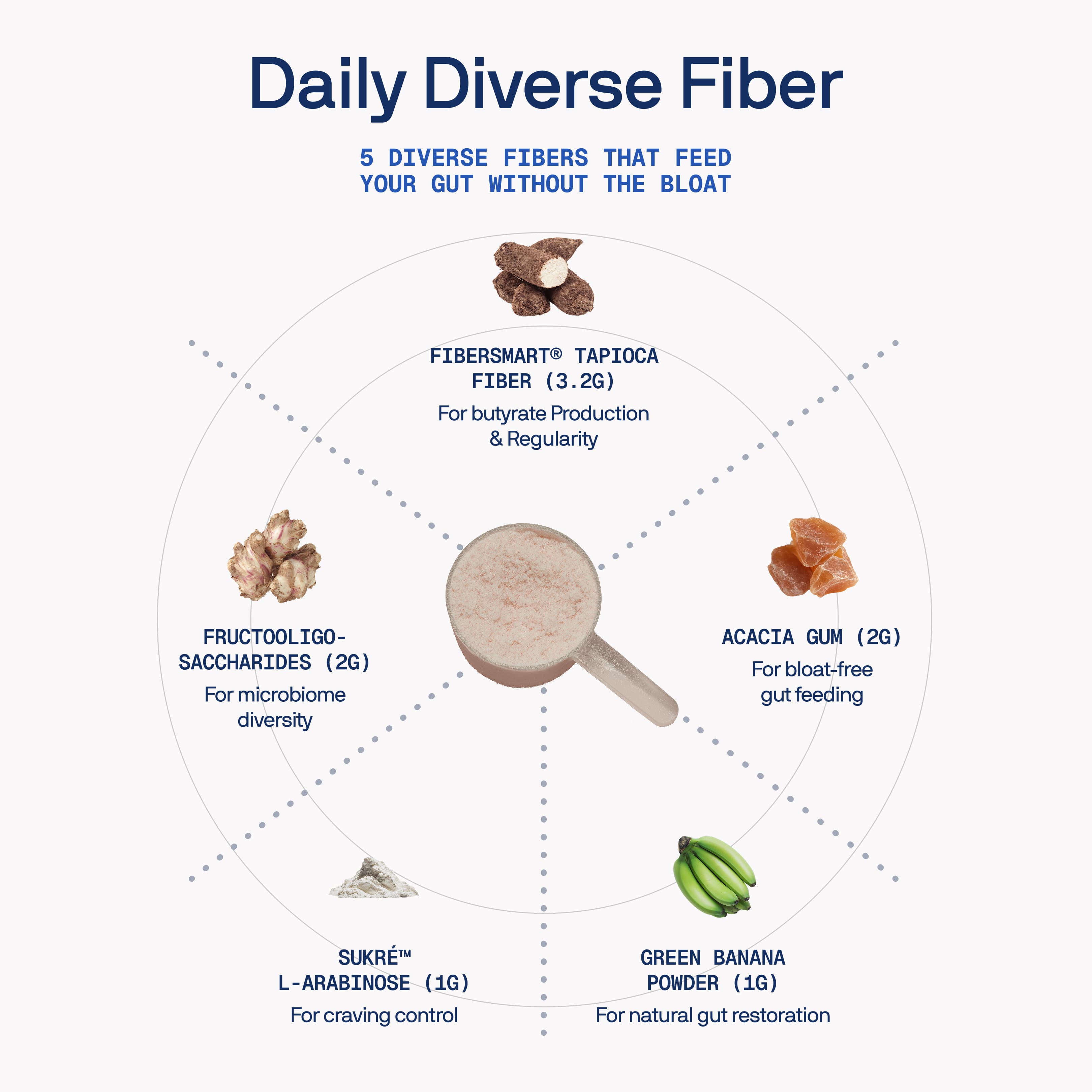 Complete Gut Repair System